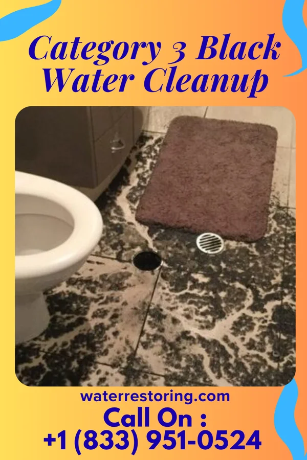 Category 3 Black Water Cleanup in Lyle, MN