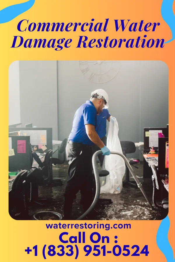 Commercial Water Damage Restoration in Lyle, MN