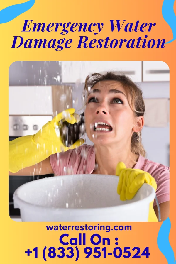 Emergency Water Damage Restoration in Lyle, MN