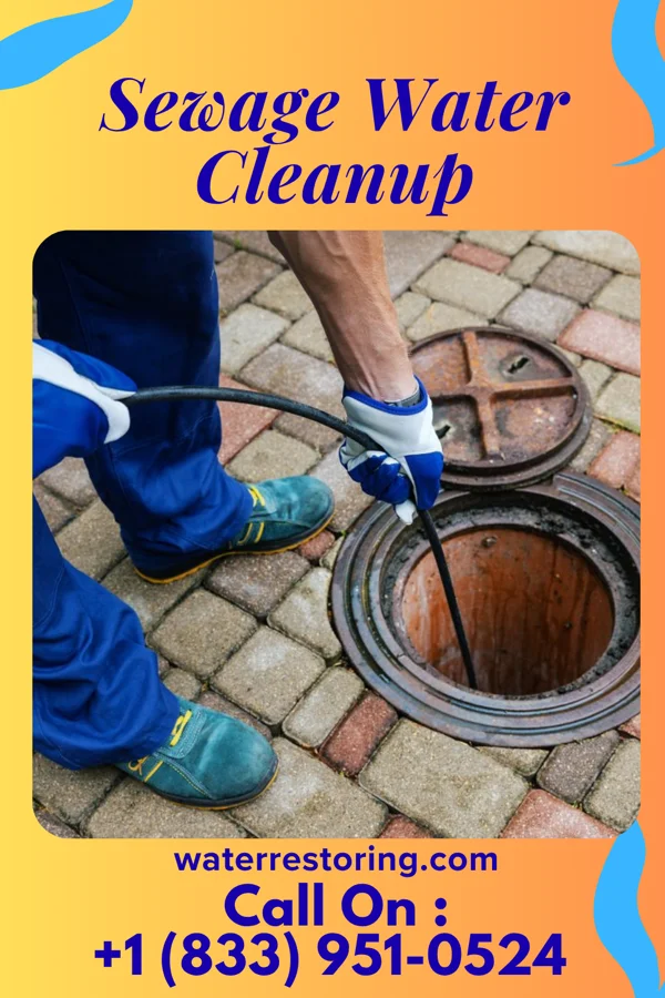 Sewage Water Cleanup in Lyle, MN